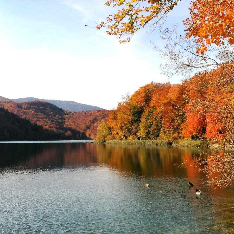 Plitvice Konak Daic Plitvicka Jezera Luaran gambar